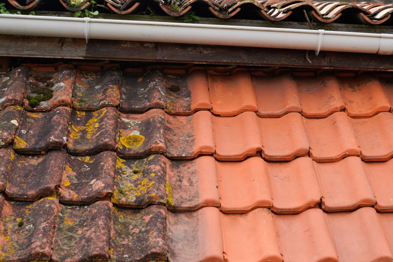 Terracotta Tile Repair